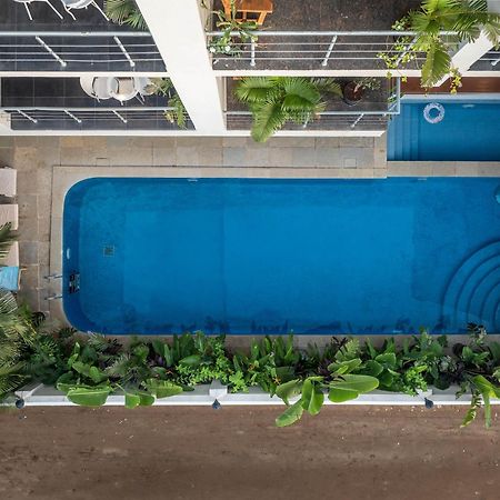 Echor Samara Morjim Goa Sea View Restro Hotel Kültér fotó